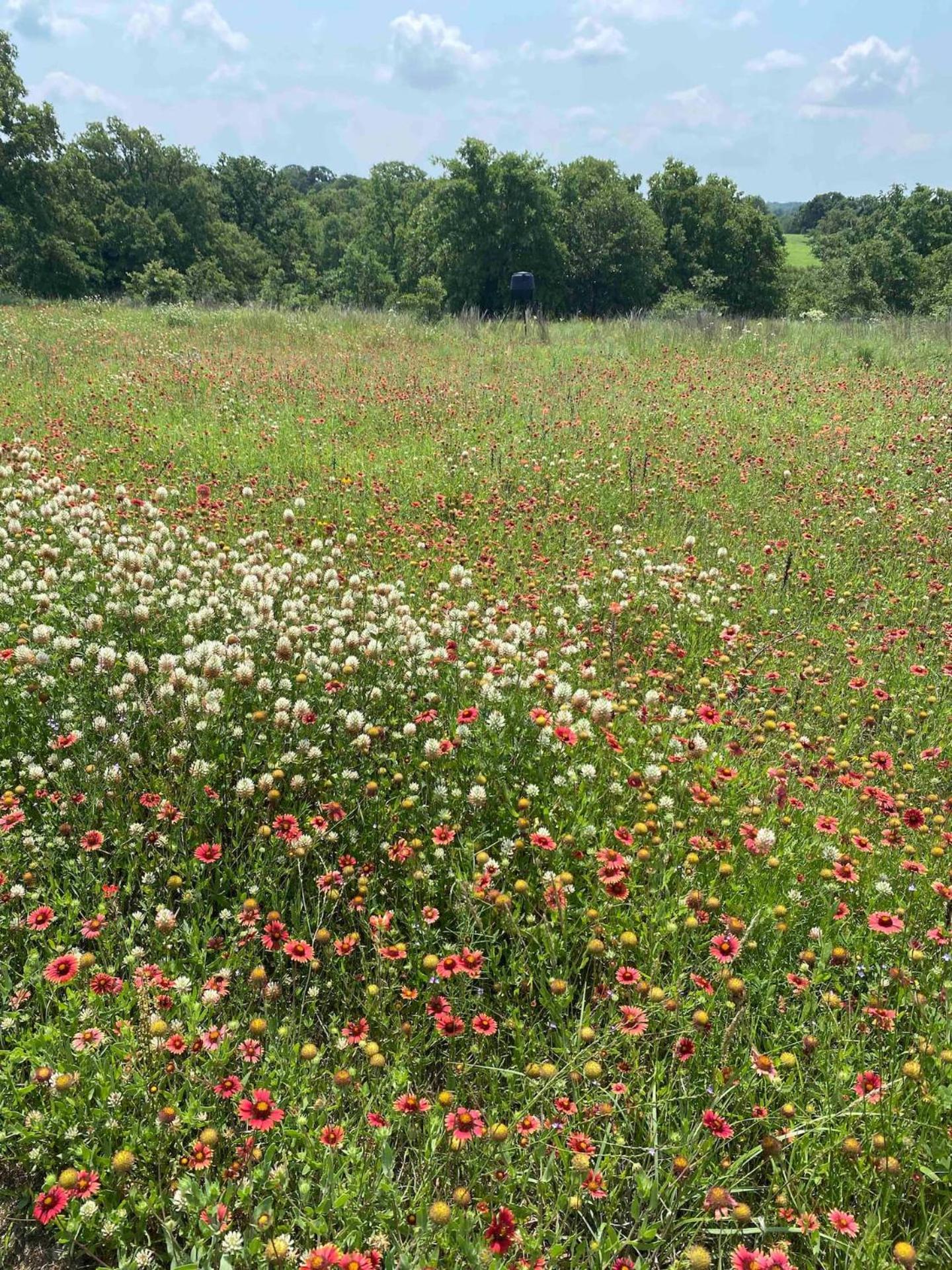 Nature Retreateclectic Country Boho Farmhouse Nocona Экстерьер фото
