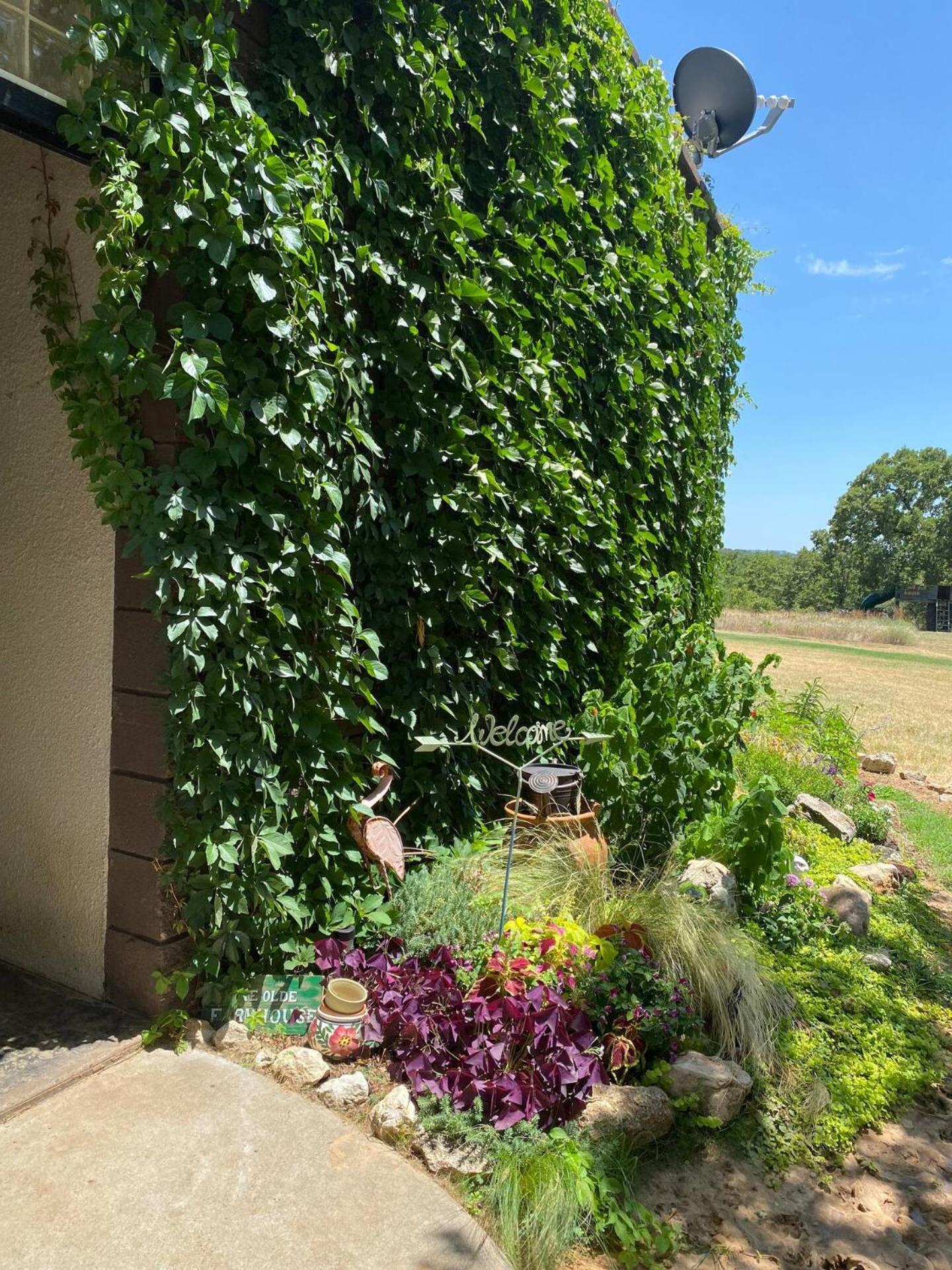 Nature Retreateclectic Country Boho Farmhouse Nocona Экстерьер фото